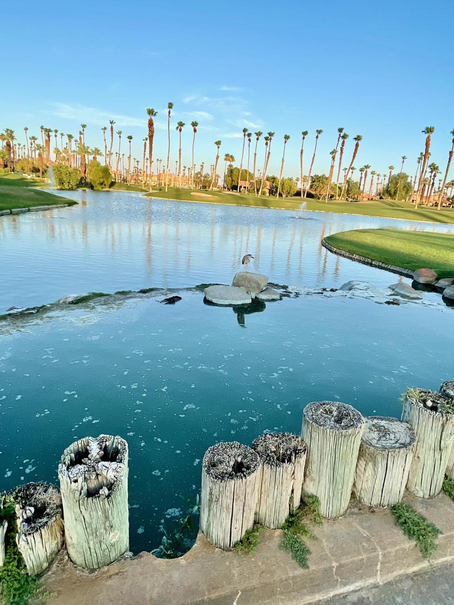 The View! Palm Desert Country Club Villa Εξωτερικό φωτογραφία